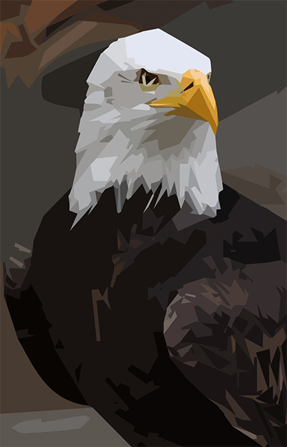 عقاب شکارچی