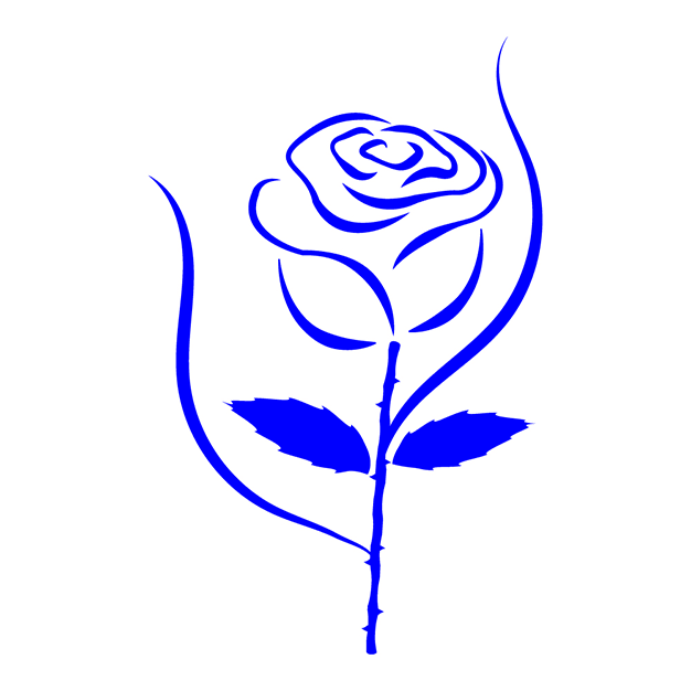 گل رز آبی 2