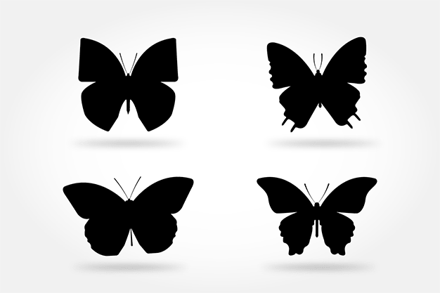 وکتور پروانه سیاه و سفید 11