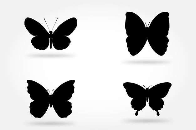 وکتور پروانه سیاه و سفید 12
