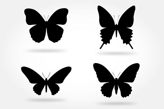 وکتور پروانه سیاه و سفید 13