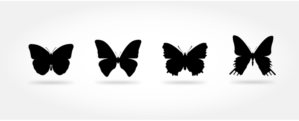 وکتور پروانه سیاه و سفید 14