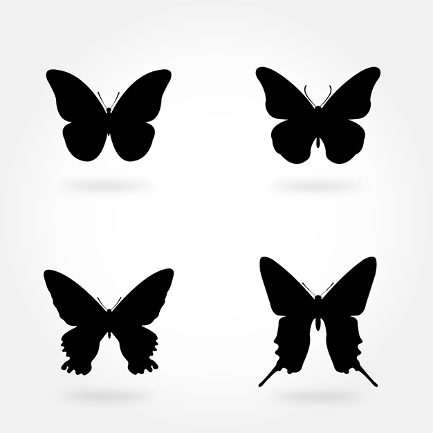 وکتور پروانه سیاه و سفید 15