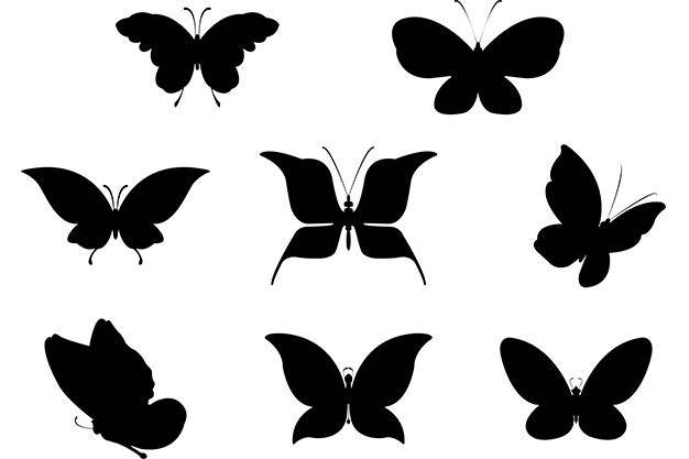 وکتور پروانه سیاه و سفید 65
