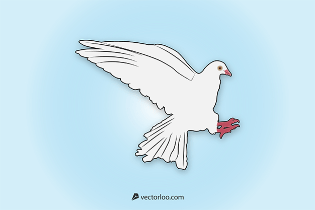 وکتور کبوتر سفید 21