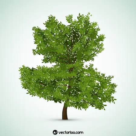 وکتور درخت واقعی رایگان 5