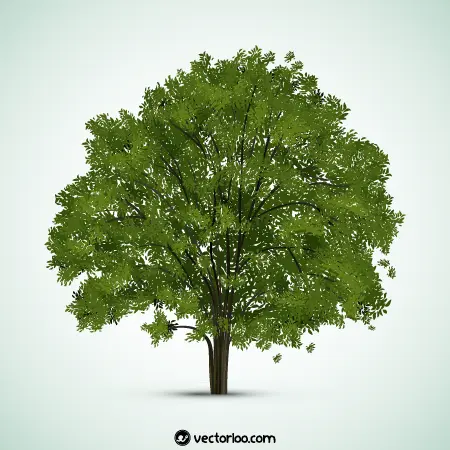 وکتور درخت واقعی رایگان 9