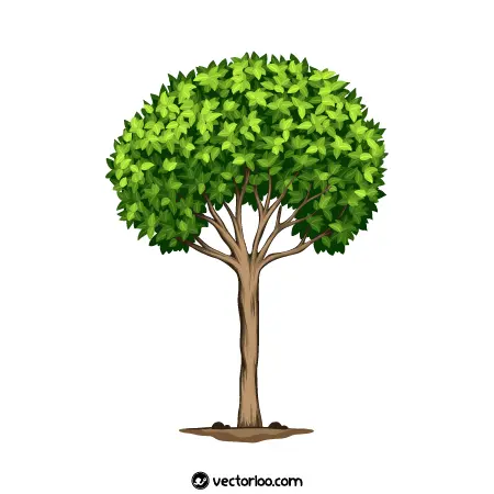 وکتور درخت کارتونی رایگان 13