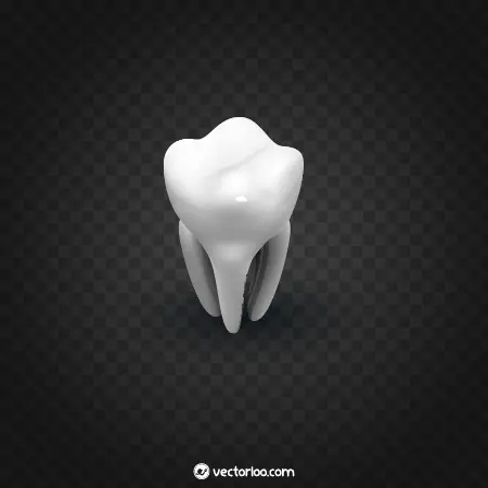 وکتور دندان سه بعدی رایگان 4