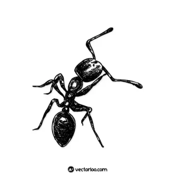 وکتور مورچه خط دور مشکی 1