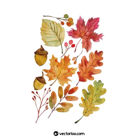 وکتور برگ های پاییزی آبرنگ زیبا در چند طرح 1