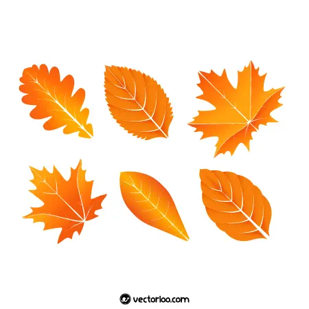 وکتور برگ پاییزی با رگه باز در شش طرح 1