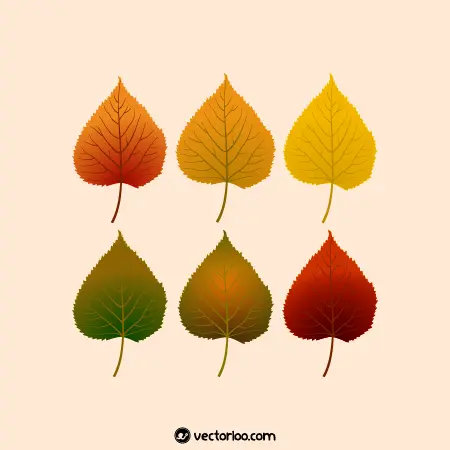 وکتور برگ پاییزی در شش رنگ 1