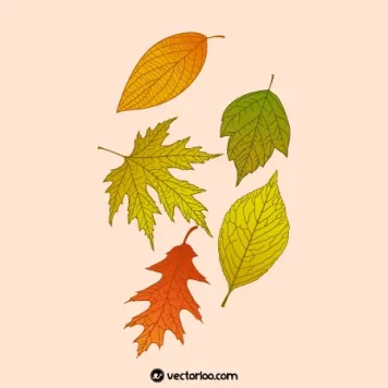 وکتور برگ پاییزی در پنج طرح و رنگ رگ دار 1