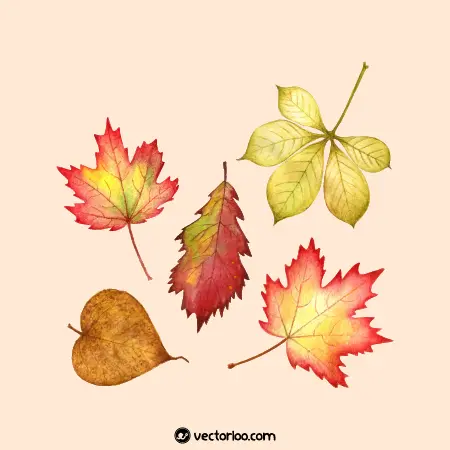 وکتور برگ پاییزی در چند طرح و رنگ حرفه ای 1
