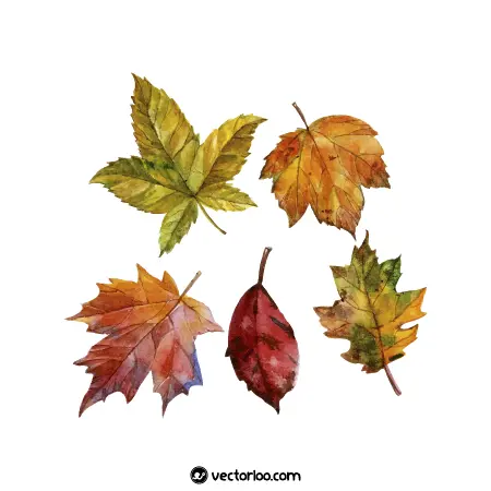 وکتور برگ پاییزی واقعی رنگی زیبا در پنج طرح 1