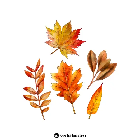 وکتور برگ پاییزی واقعی رنگی زیبا در پنج طرح 2