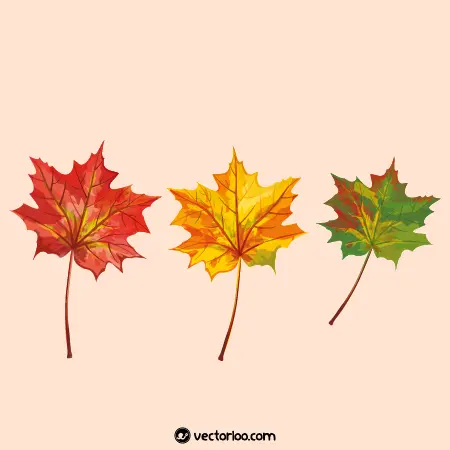 وکتور برگ پاییزی کارتونی در سه رنگ زیبا 1