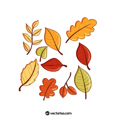 وکتور برگ پاییزی کارتونی زیبا در شکل های متنوع 1