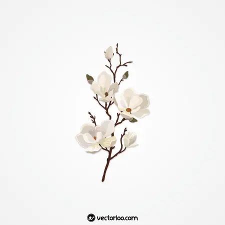 وکتور شکوفه سفید روی شاخه کارتونی 1