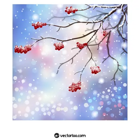 وکتور شاخه و میوه قرمز پوشیده از برف در زمستان 1