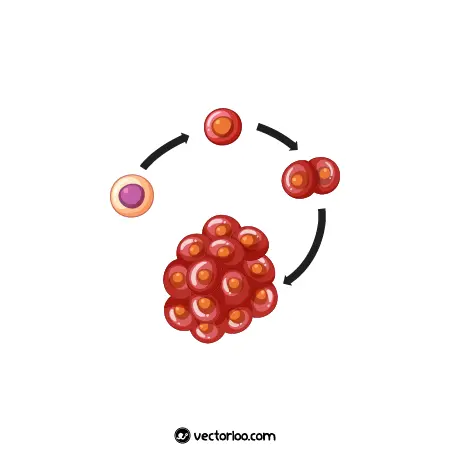 وکتور فرایند توسعه سرطان 1