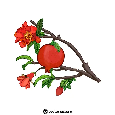 وکتور انار روی درخت و شکوفه و شاخ و برگ کارتونی 1