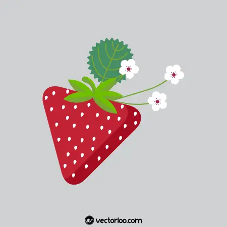 وکتور توت فرنگی با شکوفه کوچک 1