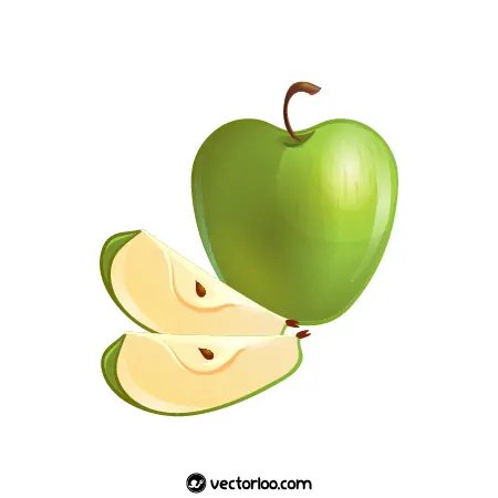 وکتور سیب سبز با دو قاچ 1