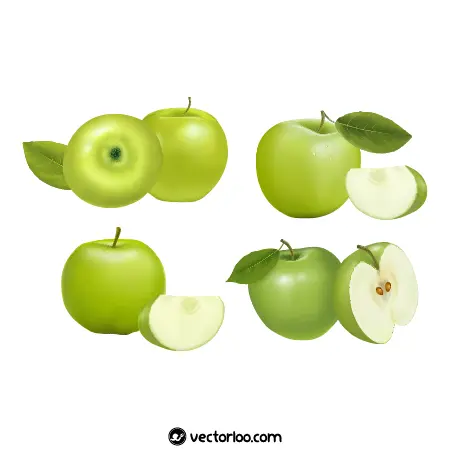 وکتور سیب سبز در چهار حالت 1