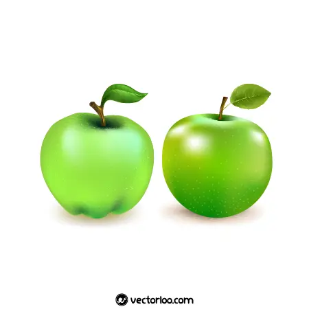 وکتور سیب سبز واقعی در دو طرح 1