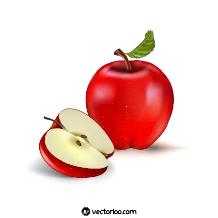 وکتور سیب قرمز با قاچ 1