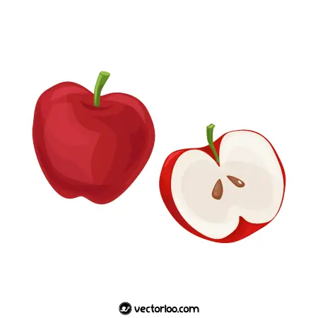وکتور سیب قرمز و قاچ نصف سیب کارتونی 1