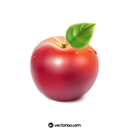 وکتور سیب قرمز واقعی با قطره آب 1