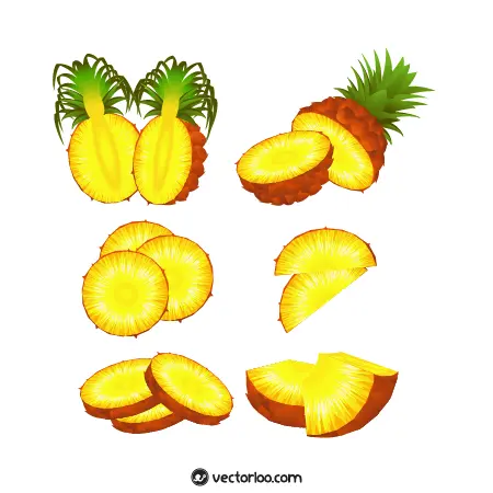 وکتور قاچ آناناس در حالت های مختلف 1