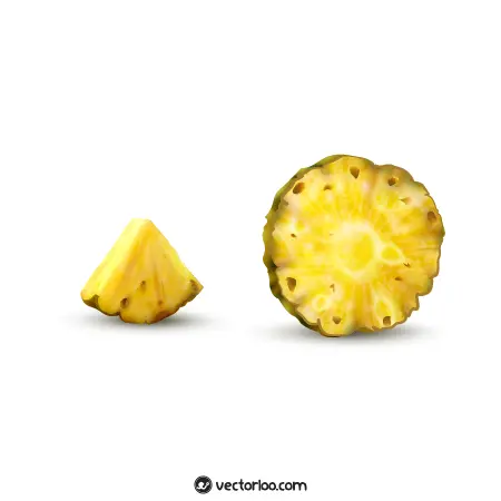 وکتور قاچ آناناس در دو حالت سه بعدی 1