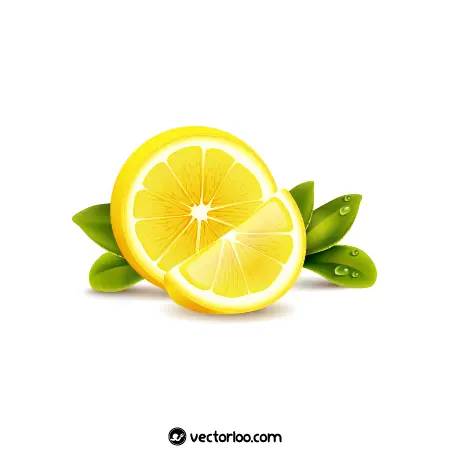 وکتور قاچ لیمو شیرین با برگ سبز 1