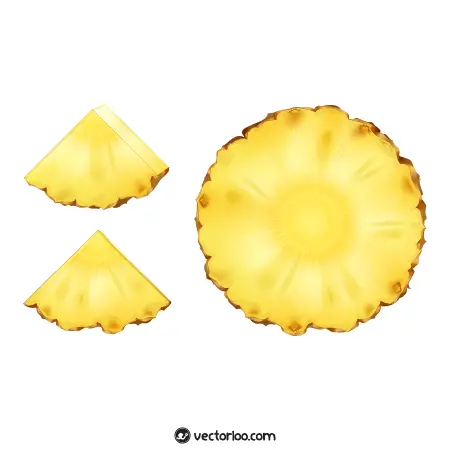 وکتور قاچ گرد آناناس سه بعدی 1