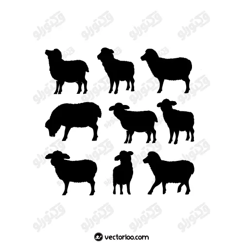 وکتور سیلوئت گوسفند 1