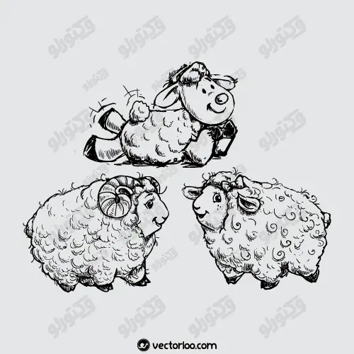وکتور قوچ و گوسفند خط دور سیاه 1