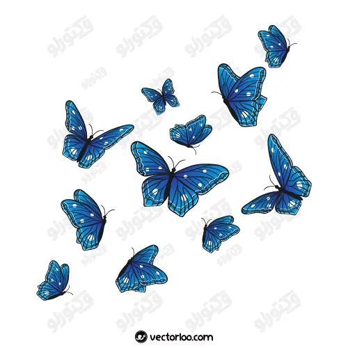وکتور پروانه آبی در حالت های مختلف 1