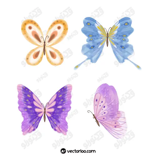 وکتور پروانه در چهار طرح و رنگ 1