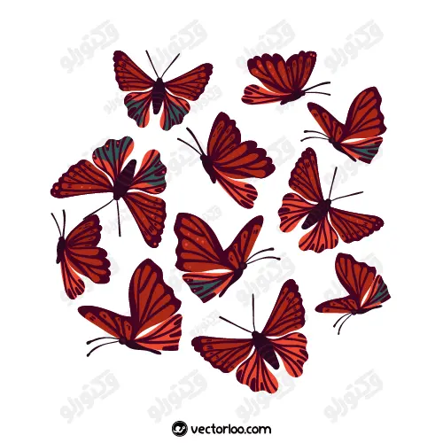 وکتور پروانه قرمز در حالت های مختلف 1
