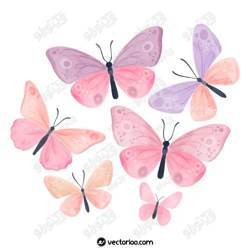 وکتور پروانه کارتونی رنگی در چندین طرح 1