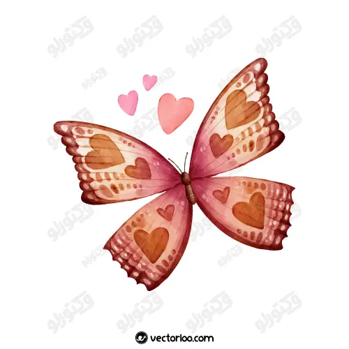 وکتور پروانه کارتونی چند رنگ عاشقانه 1