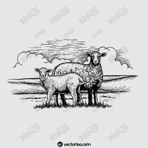 وکتور گوسفند و بره رسم دست سیاه 1