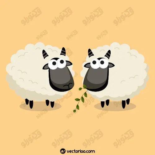 وکتور گوسفند پشم سفید 1