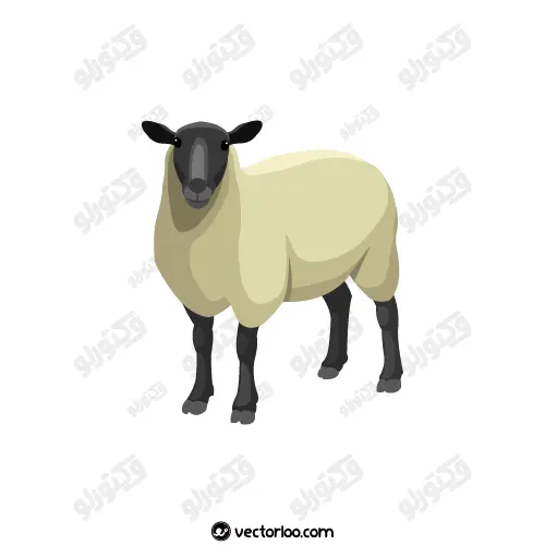 وکتور گوسفند کارتونی پشمی 1